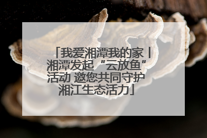 我爱湘潭我的家丨湘潭发起“云放鱼”活动 邀您共同守护湘江生态活力
