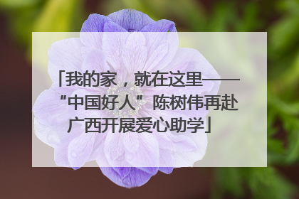 我的家，就在这里——“中国好人”陈树伟再赴广西开展爱心助学