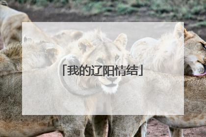 我的辽阳情结