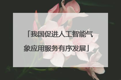 我国促进人工智能气象应用服务有序发展