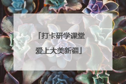 打卡研学课堂 爱上大美新疆