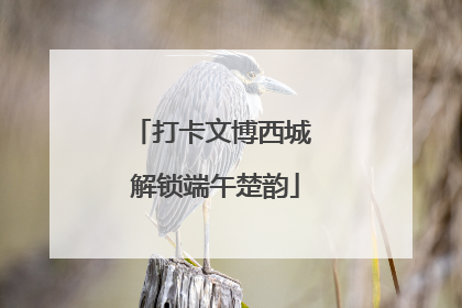 打卡文博西城 解锁端午楚韵