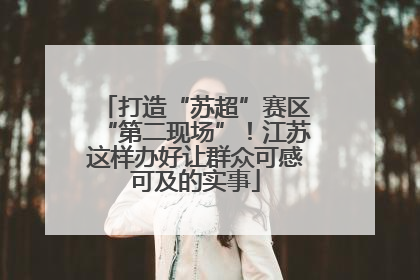 打造“苏超”赛区“第二现场”！江苏这样办好让群众可感可及的实事