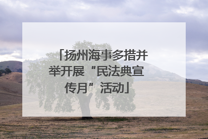 扬州海事多措并举开展“民法典宣传月”活动