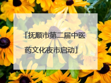 抚顺市第二届中医药文化夜市启动