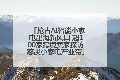 抢占AI智能小家电出海新风口 超100家跨境卖家探访慈溪小家电产业带