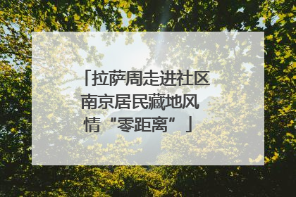 拉萨周走进社区 南京居民藏地风情“零距离”