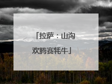 拉萨：山沟欢腾赛牦牛