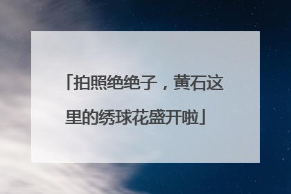 拍照绝绝子，黄石这里的绣球花盛开啦