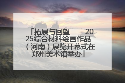 拓展与回望——2025综合材料绘画作品（河南）展览开幕式在郑州美术馆举办