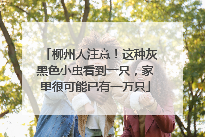 柳州人注意！这种灰黑色小虫看到一只，家里很可能已有一万只