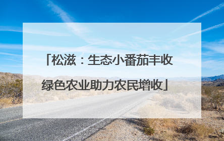 松滋：生态小番茄丰收 绿色农业助力农民增收