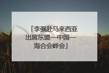 李强赴马来西亚出席东盟—中国—海合会峰会