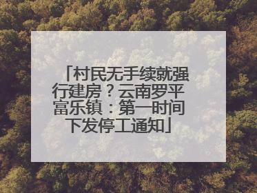 村民无手续就强行建房？云南罗平富乐镇：第一时间下发停工通知