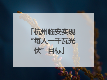 杭州临安实现“每人一千瓦光伏”目标