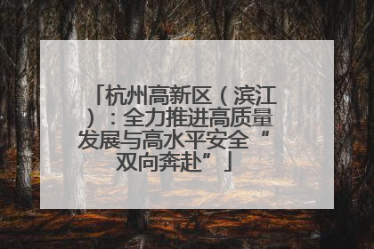 杭州高新区（滨江）：全力推进高质量发展与高水平安全“双向奔赴”