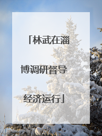林武在淄博调研督导经济运行