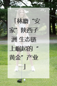 林麝“安家”陕西子洲 生态链上崛起的“黄金”产业