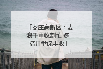 枣庄高新区：麦浪千重收割忙 多措并举保丰收