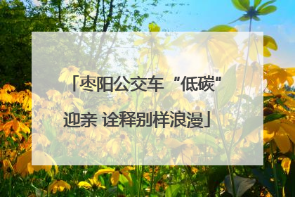 枣阳公交车“低碳”迎亲 诠释别样浪漫