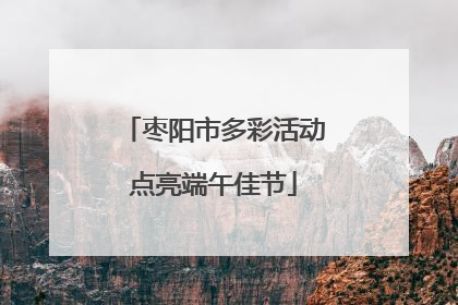 枣阳市多彩活动点亮端午佳节