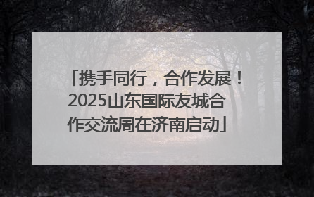 携手同行，合作发展！2025山东国际友城合作交流周在济南启动