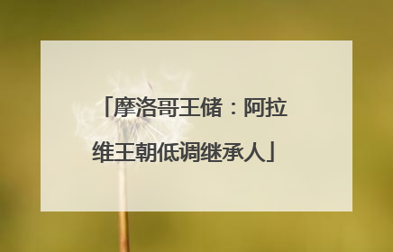摩洛哥王储：阿拉维王朝低调继承人