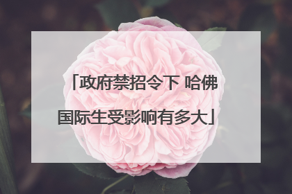 政府禁招令下 哈佛国际生受影响有多大