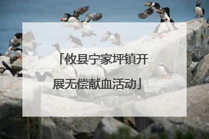 攸县宁家坪镇开展无偿献血活动