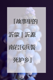 故事里的沂蒙｜沂源南岩民兵誓死护乡