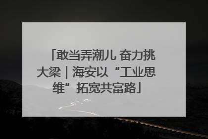 敢当弄潮儿 奋力挑大梁｜海安以“工业思维”拓宽共富路