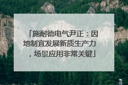 施耐德电气尹正：因地制宜发展新质生产力，场景应用非常关键