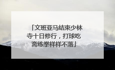 文班亚马结束少林寺十日修行，打球吃斋练拳样样不落