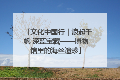 文化中国行｜浪起千帆 深蓝宝藏——博物馆里的海丝遗珍