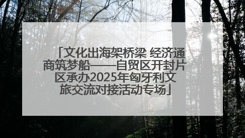 文化出海架桥梁 经济通商筑梦船——自贸区开封片区承办2025年匈牙利文旅交流对接活动专场