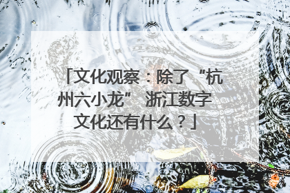 文化观察：除了“杭州六小龙” 浙江数字文化还有什么？