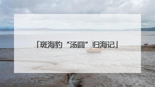 斑海豹“汤圆”归海记