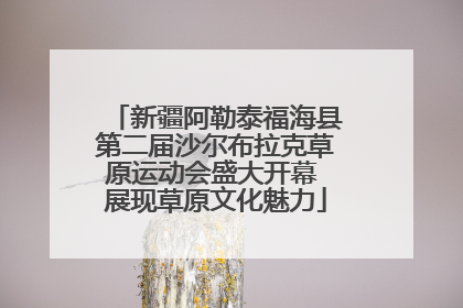 新疆阿勒泰福海县第二届沙尔布拉克草原运动会盛大开幕 展现草原文化魅力