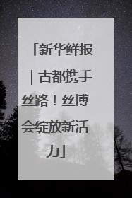 新华鲜报｜古都携手丝路！丝博会绽放新活力