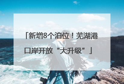 新增8个泊位！芜湖港口岸开放“大升级”