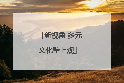 新视角 多元文化壁上观