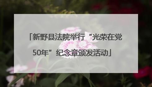 新野县法院举行“光荣在党50年”纪念章颁发活动