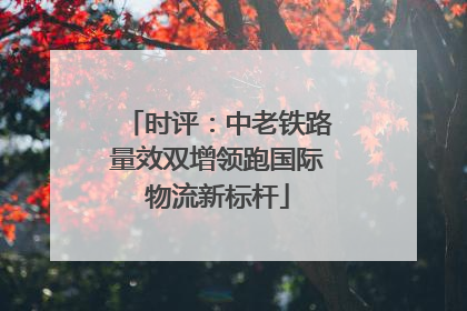 时评：中老铁路量效双增领跑国际物流新标杆