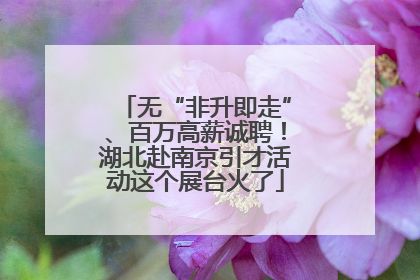 无“非升即走”、百万高薪诚聘！湖北赴南京引才活动这个展台火了
