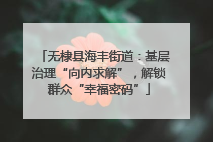 无棣县海丰街道：基层治理“向内求解”，解锁群众“幸福密码”