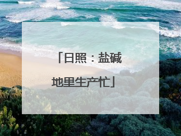 日照：盐碱地里生产忙