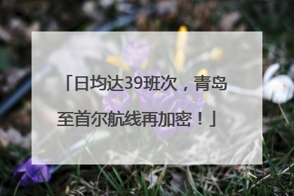 日均达39班次，青岛至首尔航线再加密！
