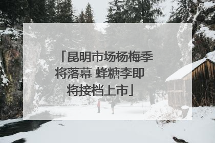 昆明市场杨梅季将落幕 蜂糖李即将接档上市