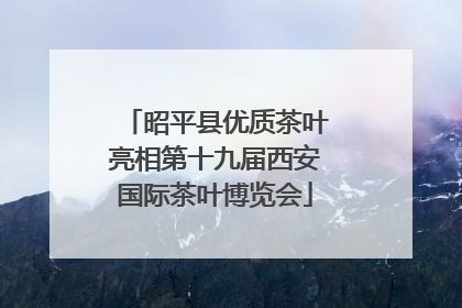 昭平县优质茶叶亮相第十九届西安国际茶叶博览会
