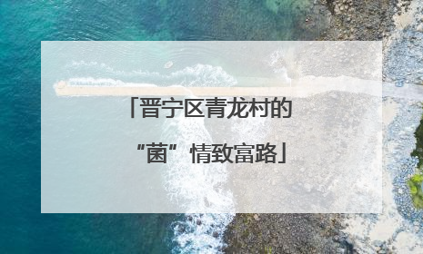 晋宁区青龙村的“菌”情致富路